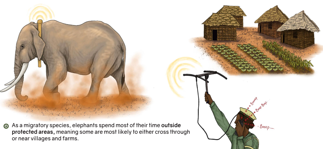 Radio collar - Elephant Conflict in Kerala - Human-Wildlife Conflict | UPSC