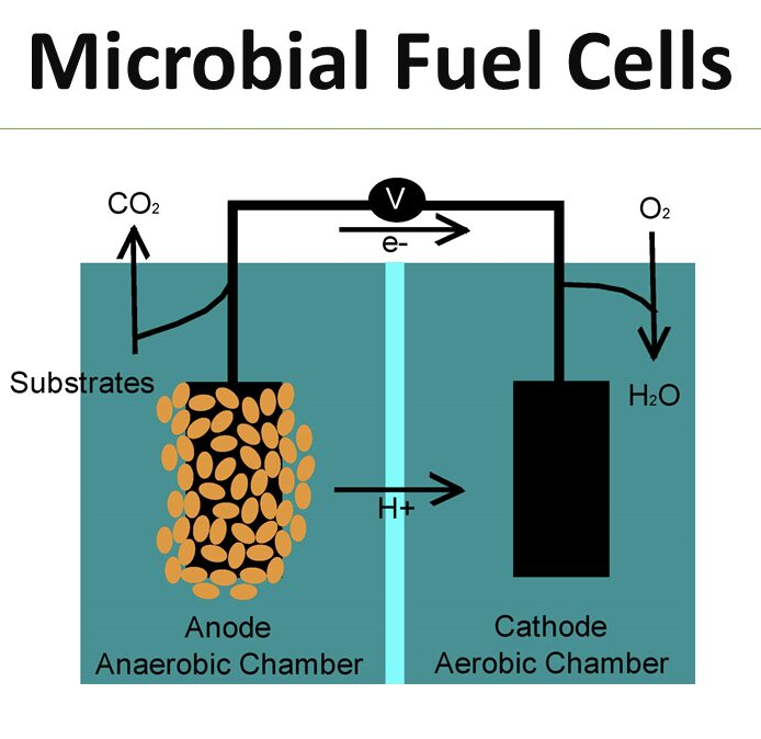 Microbial electrolysis cell | Microbial Fuel Cell (MFC) | UPSC | Sciecne and Technology | Current Affairs