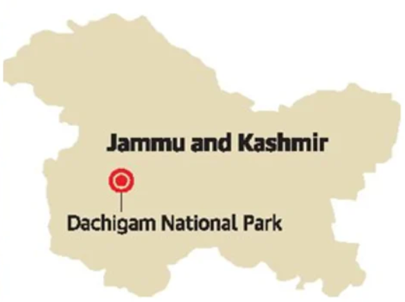 Hangul (Kashmir Stag) | Dachigam National Park | UPSC
