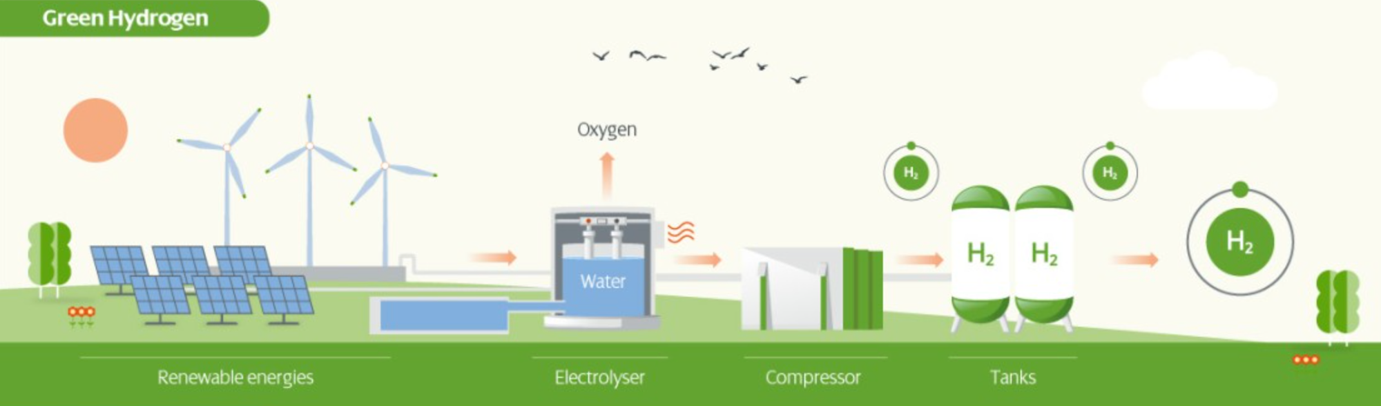 Previse 2024: Types of Hydrogen