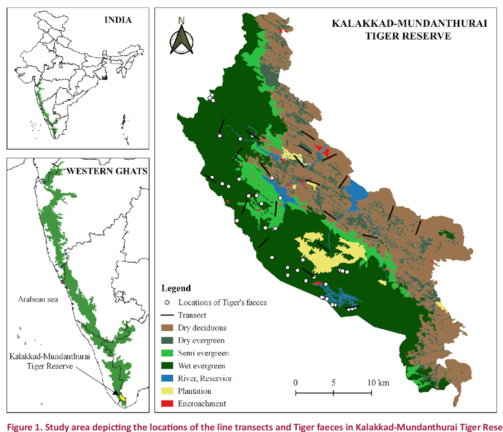 Kalakad Mundanthurai Tiger Reserve | UPSC