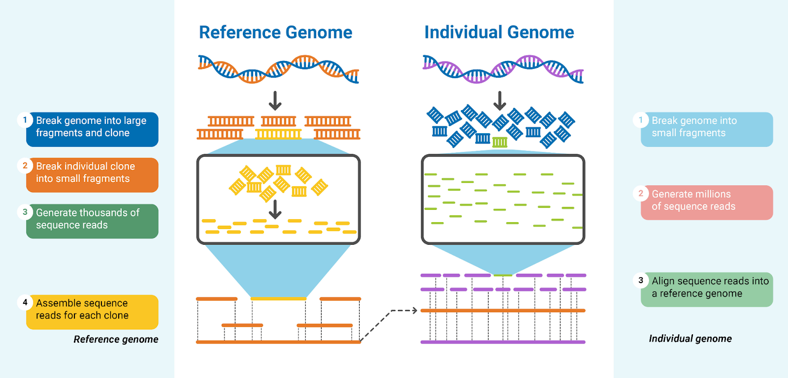Genome India | UPSC