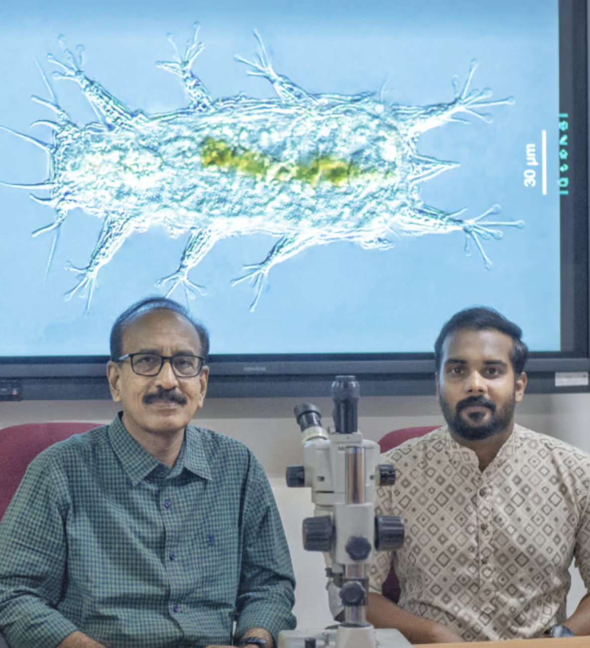 Researchers from CUSAT discover new species of Marine Tardigrades | Batillipes Chandrayaani