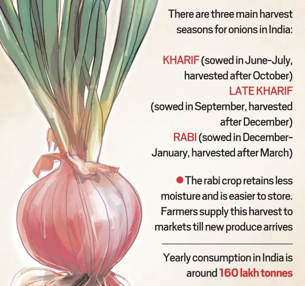 Onion Crop Seasons | UPSC | UPSCprep.com