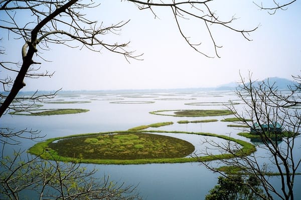 World Wetlands Day: India adds five new sites