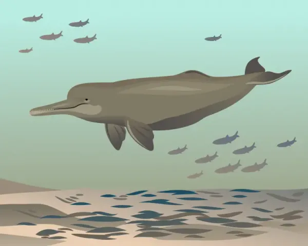 Gangetic Dolphins